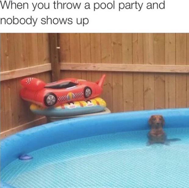 pool party meme funny - When you throw a pool party and nobody shows up