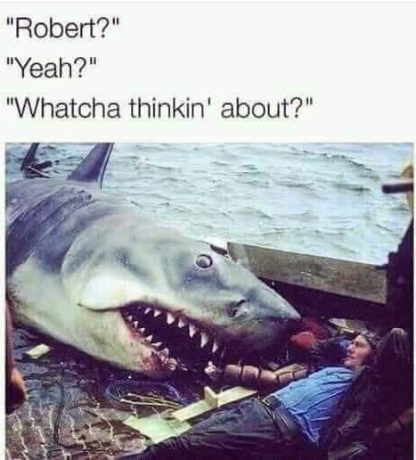 funny shark memes - "Robert?" "Yeah?" "Whatcha thinkin' about?"
