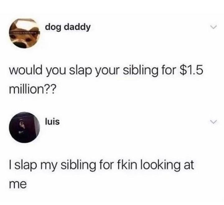 laugh funny tweets - dog daddy would you slap your sibling for $1.5 million?? luis Islap my sibling for fkin looking at me