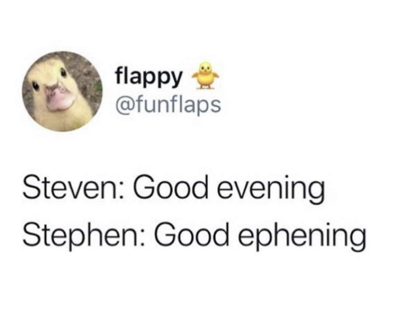 stephen meme good evening - flappy Steven Good evening Stephen Good ephening