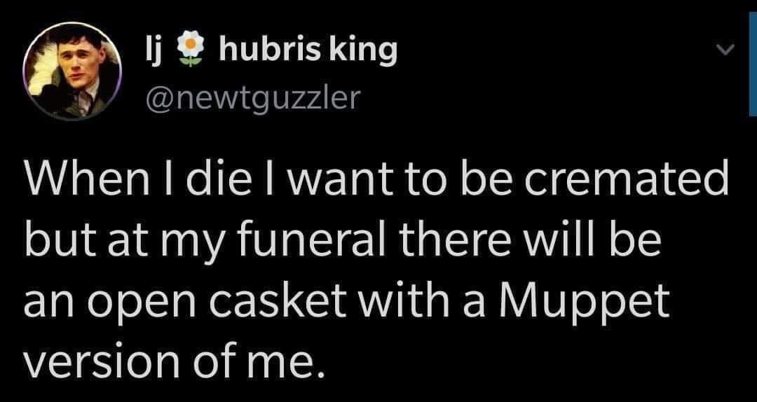 nonbinary name noun - lj hubris king When I die I want to be cremated but at my funeral there will be an open casket with a Muppet version of me.