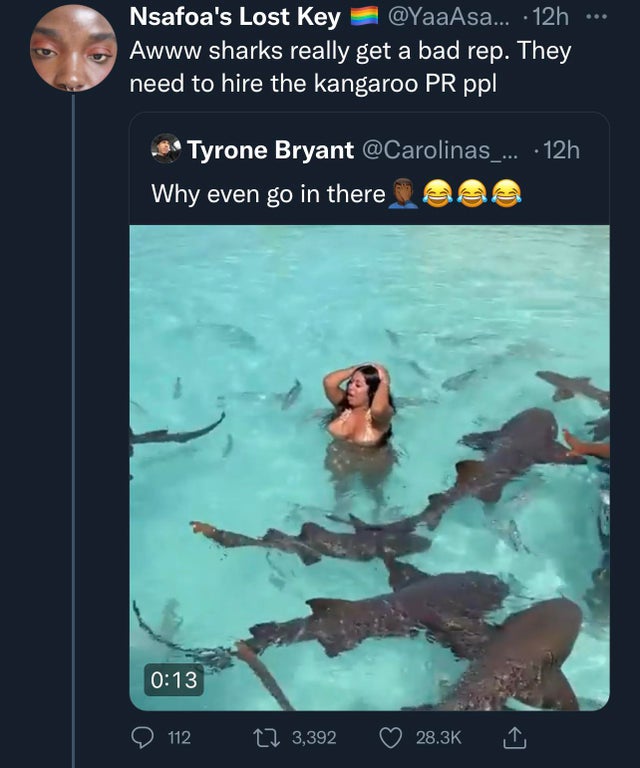 water - Nsafoa's Lost Key ... 12h Awww sharks really get a bad rep. They need to hire the kangaroo Pr ppl Tyrone Bryant ... 12h Why even go in there 112 12 3,392