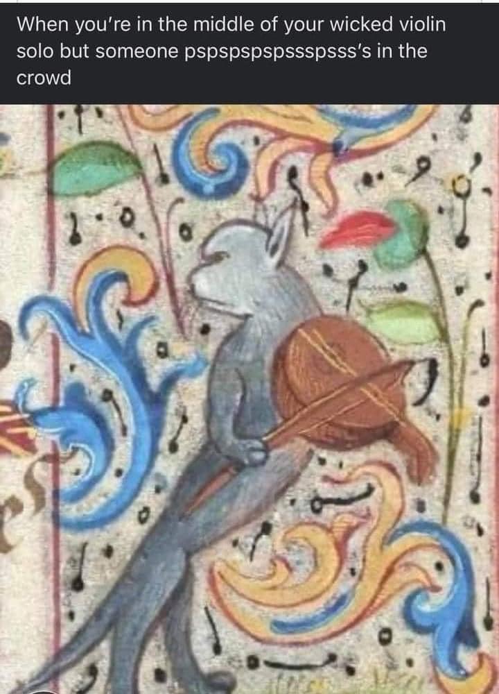 medieval marginalia cat - When you're in the middle of your wicked violin solo but someone pspspspspssspsss's in the crowd
