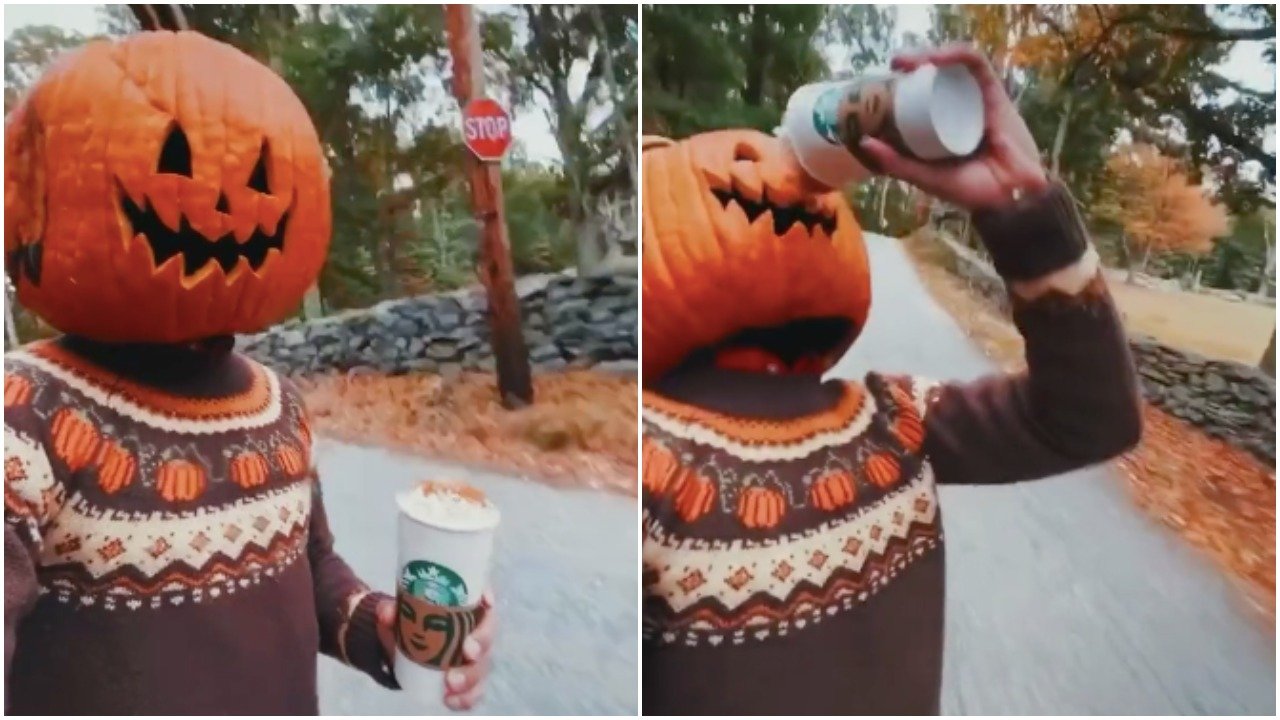 pumpkin photoshoot tiktok - Stop