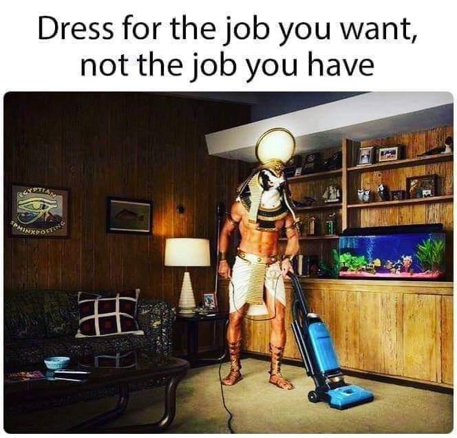 funny memes and pics - dress for the job you want meme - Dress for the job you want, not the job you have ! Phinx Postane
