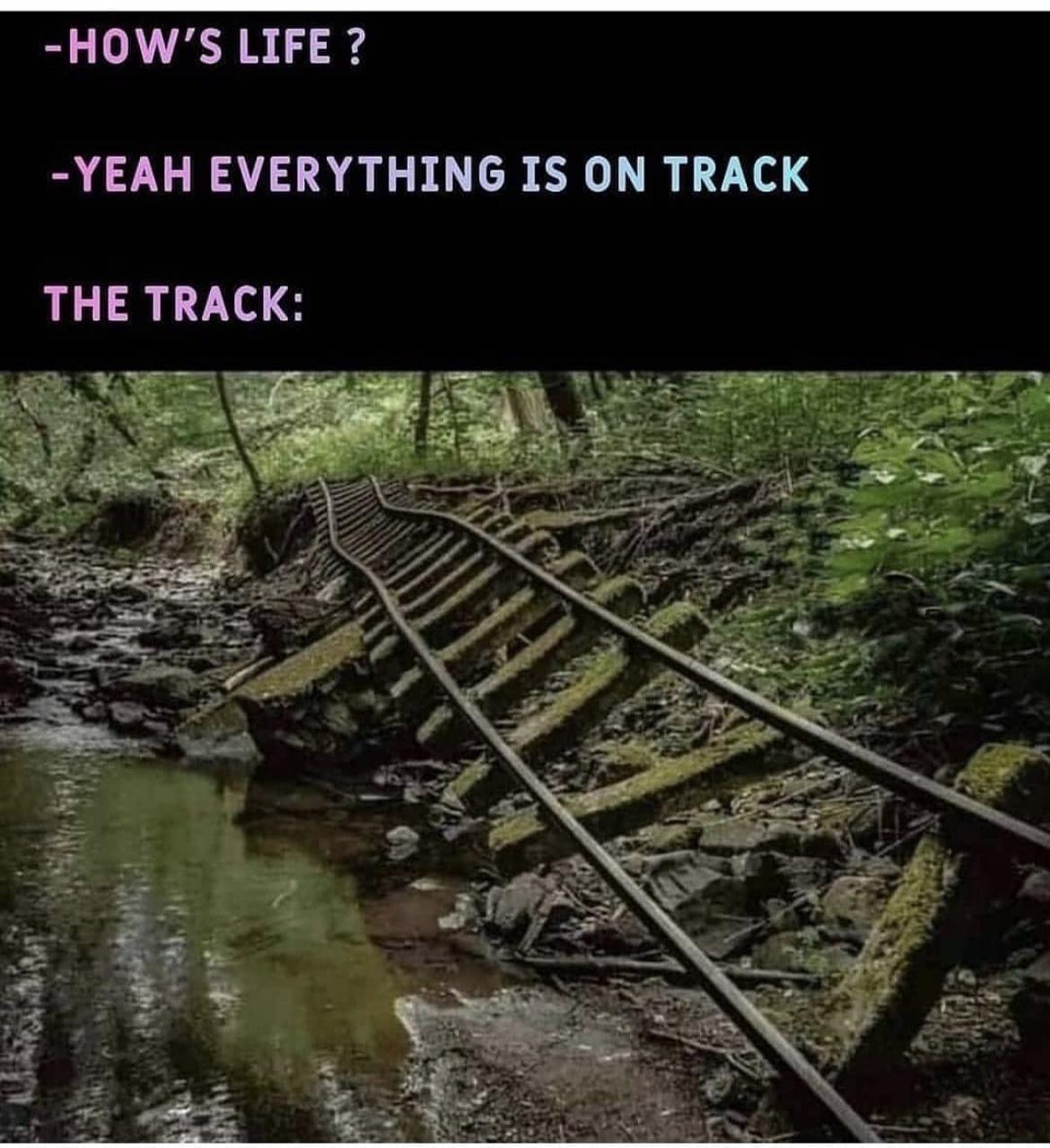 funny memes and pics - hows life everythings on track - How'S Life ? Yeah Everything Is On Track The Track