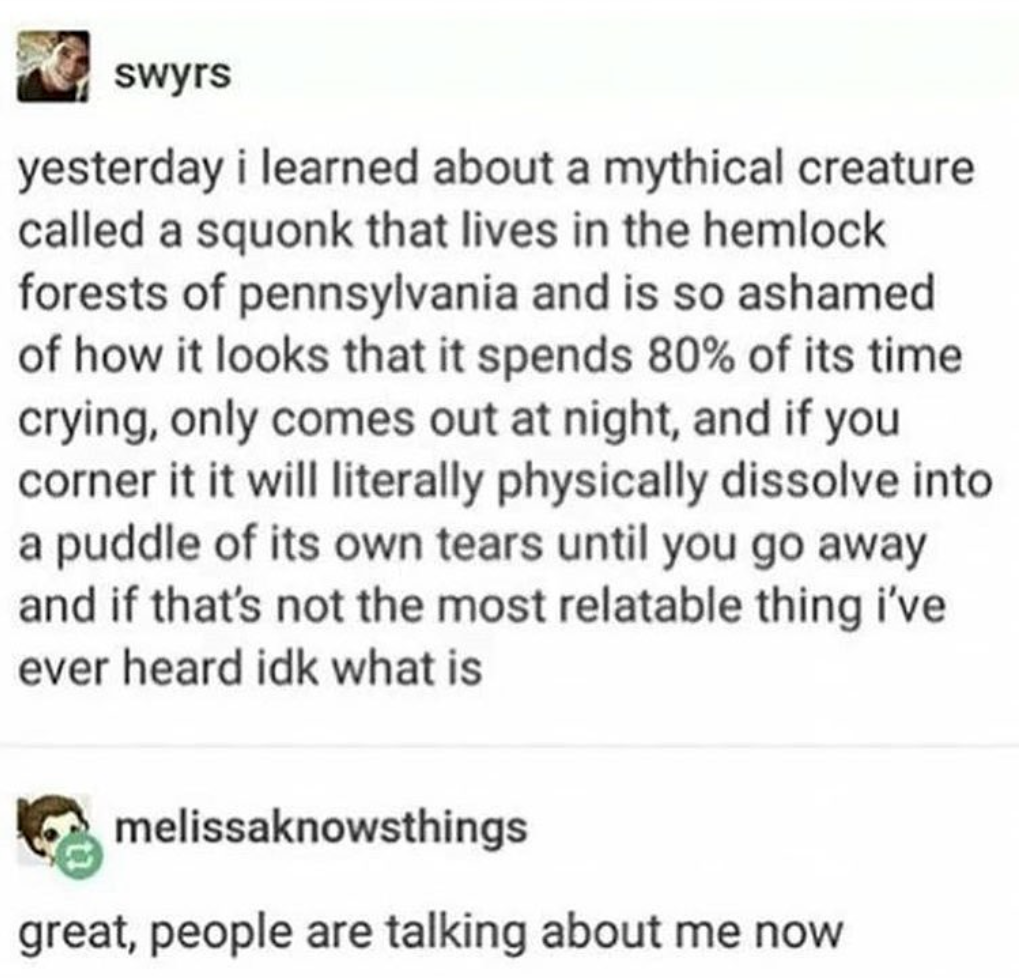 funny memes and pics - introvert posts - swyrs yesterday i learned about a mythical creature called a squonk that lives in the hemlock forests of pennsylvania and is so ashamed of how it looks that it spends 80% of its time crying, only comes out at night
