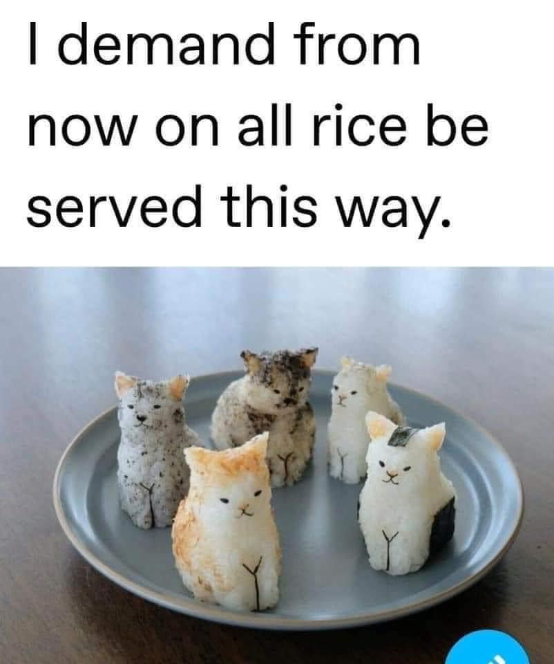 funny memes and pics - demand from now on all rice - I demand from now on all rice be served this way.