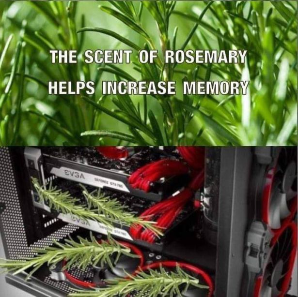 funny gaming memes - scent of rosemary meme - The Scent Of Rosemary Helps Increase Memory Evga