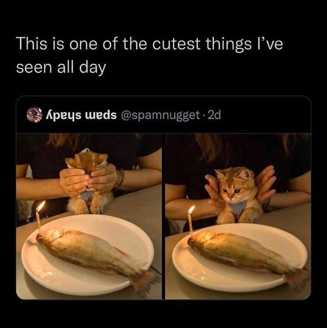 Food - This is one of the cutest things I've seen all day Apeys weds . 2d
