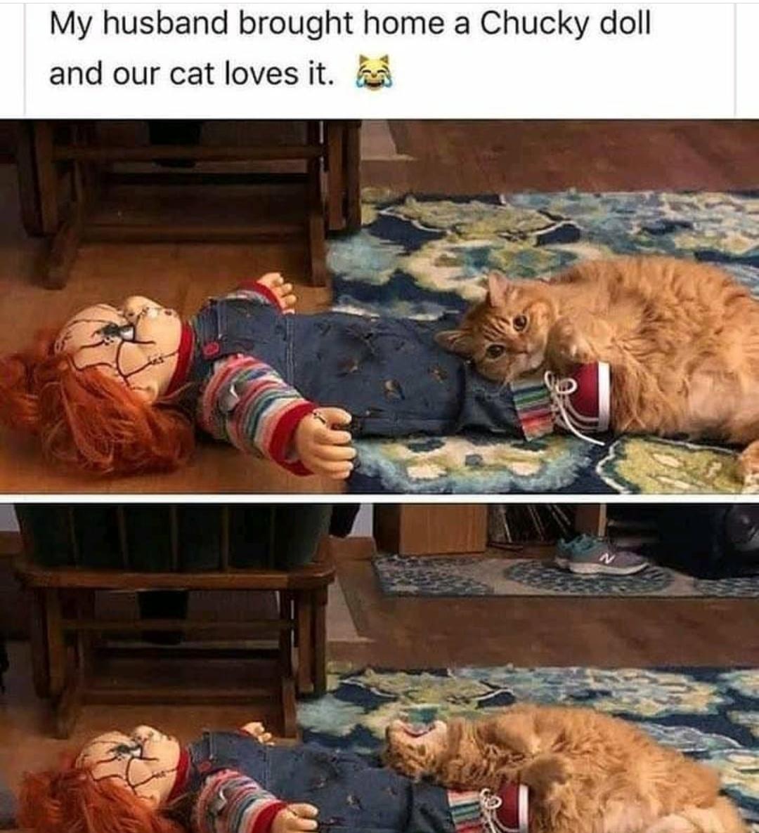 funny memes - funny pictures - cat chucky - My husband brought home a Chucky doll and our cat loves it.
