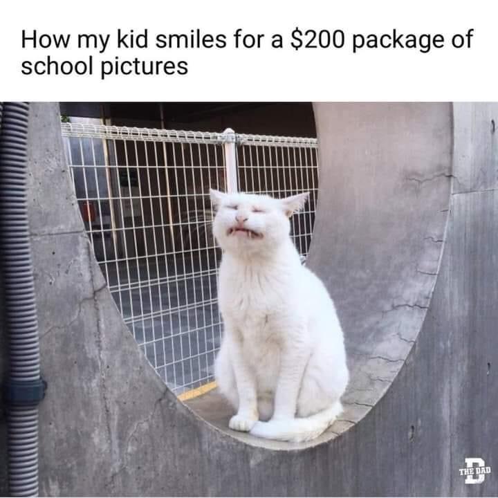 funny memes - funny pictures - my kid smiles for school pictures meme - How my kid smiles for a $200 package of school pictures The Dad