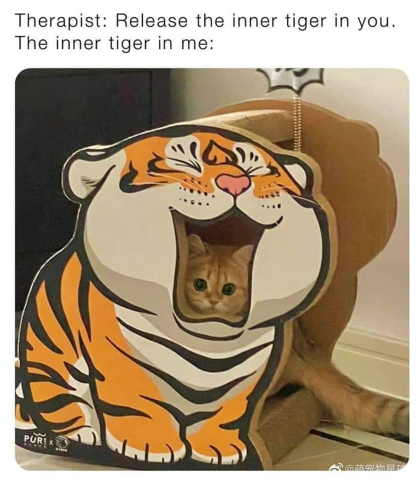 funny memes - funny pictures - tiger - Therapist Release the inner tiger in you. The inner tiger in me Pur X