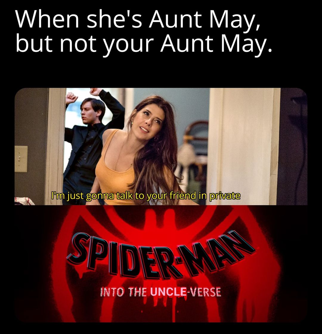 funny memes - funny pictures - she is aunt may but not your aunt may - When she's Aunt May, but not your Aunt May. I'm just gonna talk to your friend in private Spider Man Into The UncleVerse