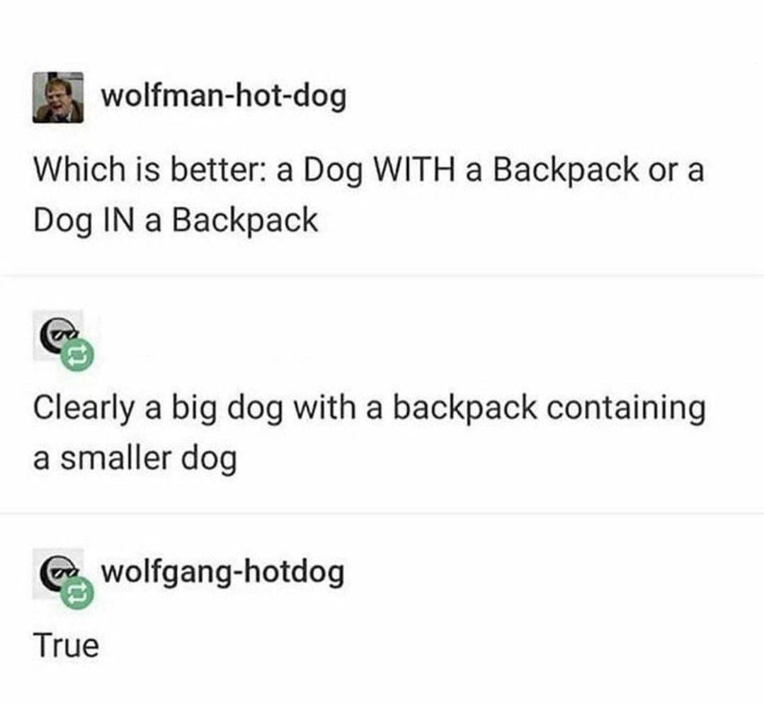 funny memes - document - wolfmanhotdog Which is better a Dog With a Backpack or a Dog In a Backpack Clearly a big dog with a backpack containing a smaller dog wolfganghotdog True