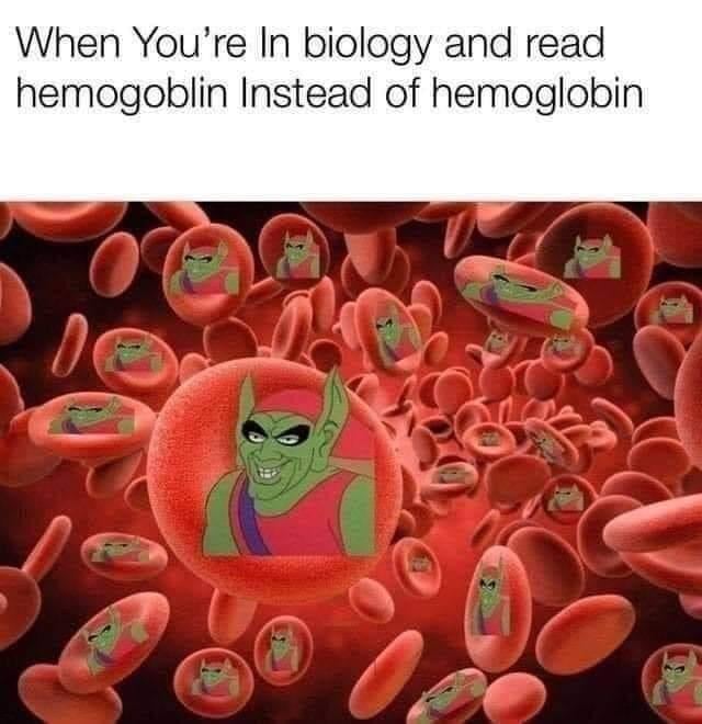 funny memes - red blood cells name - When You're In biology and read hemogoblin Instead of hemoglobin