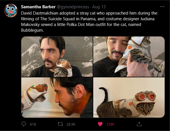 funny pics - funny memes - polkadot man cat - o Samantha Barber Aug 13 David Dastmalchian adopted a stray cat who approached him during the filming of The Suicide Squad in Panama, and costume designer Judiana Makovsky sewed a little Polka Dot Man outfit f