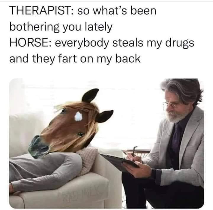 funny pics - funny memes - Psychotherapy - Therapist so what's been bothering you lately Horse everybody steals my drugs and they fart on my back