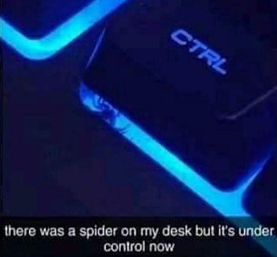funny gaming memes - light - Ctrl there was a spider on my desk but it's under control now