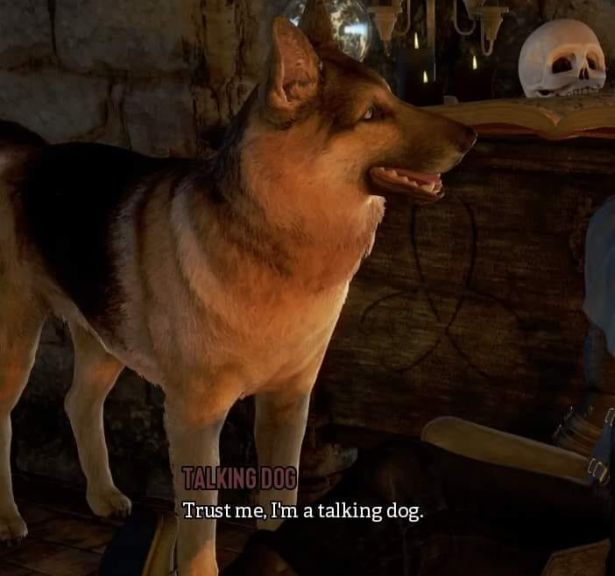 funny gaming memes - dog - 11 Talking Doc Trust me, I'm a talking dog.