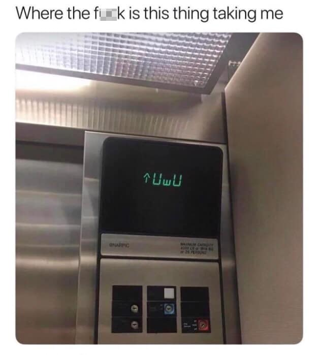 fresh memes - funny memes - eeby deeby elevator - Where the fuck is this thing taking me Uw Omaric Do