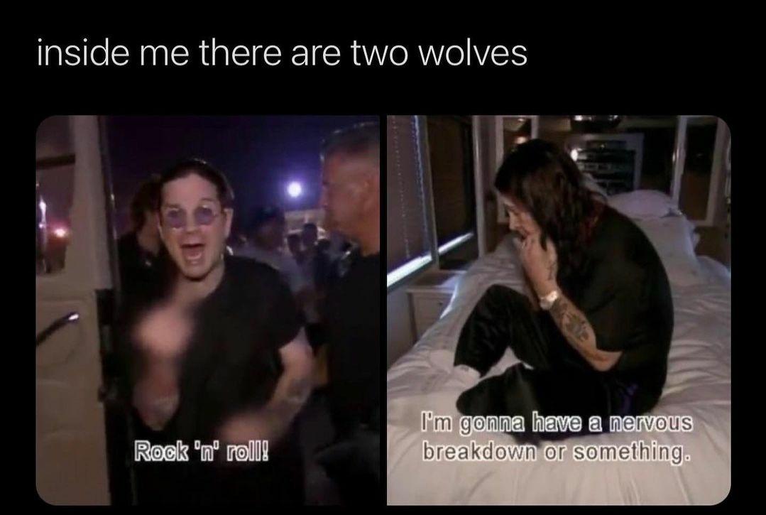 fresh memes - funny memes - sagittarius memes funny - inside me there are two wolves I'm gonna have a nervous breakdown or something. Rock 'n' roll!