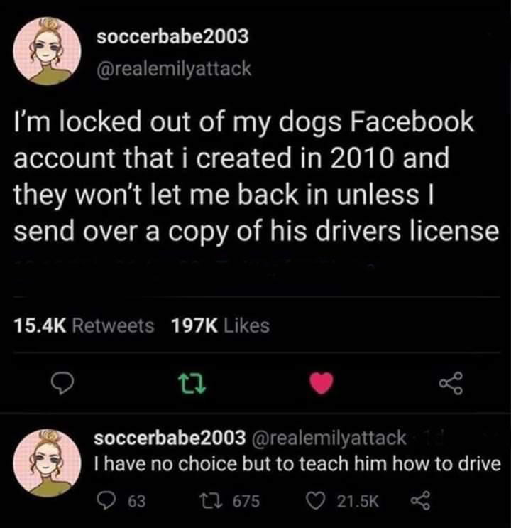 funny tweets - white people twitter - soccerbabe 2003 I'm locked out of my dogs Facebook account that i created in 2010 and they won't let me back in unless | send over a copy of his drivers license 1976 soccerbabe2003 I have no choice but to teach him ho