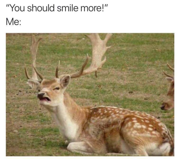hilarious memes - dank memes - sneezing deer - "You should smile more!" Me