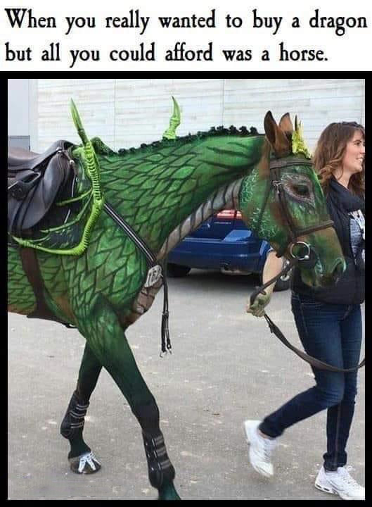 hilarious memes - dank memes - horse as dragon - When you really wanted to buy a dragon but all you could afford was a horse. Cliente