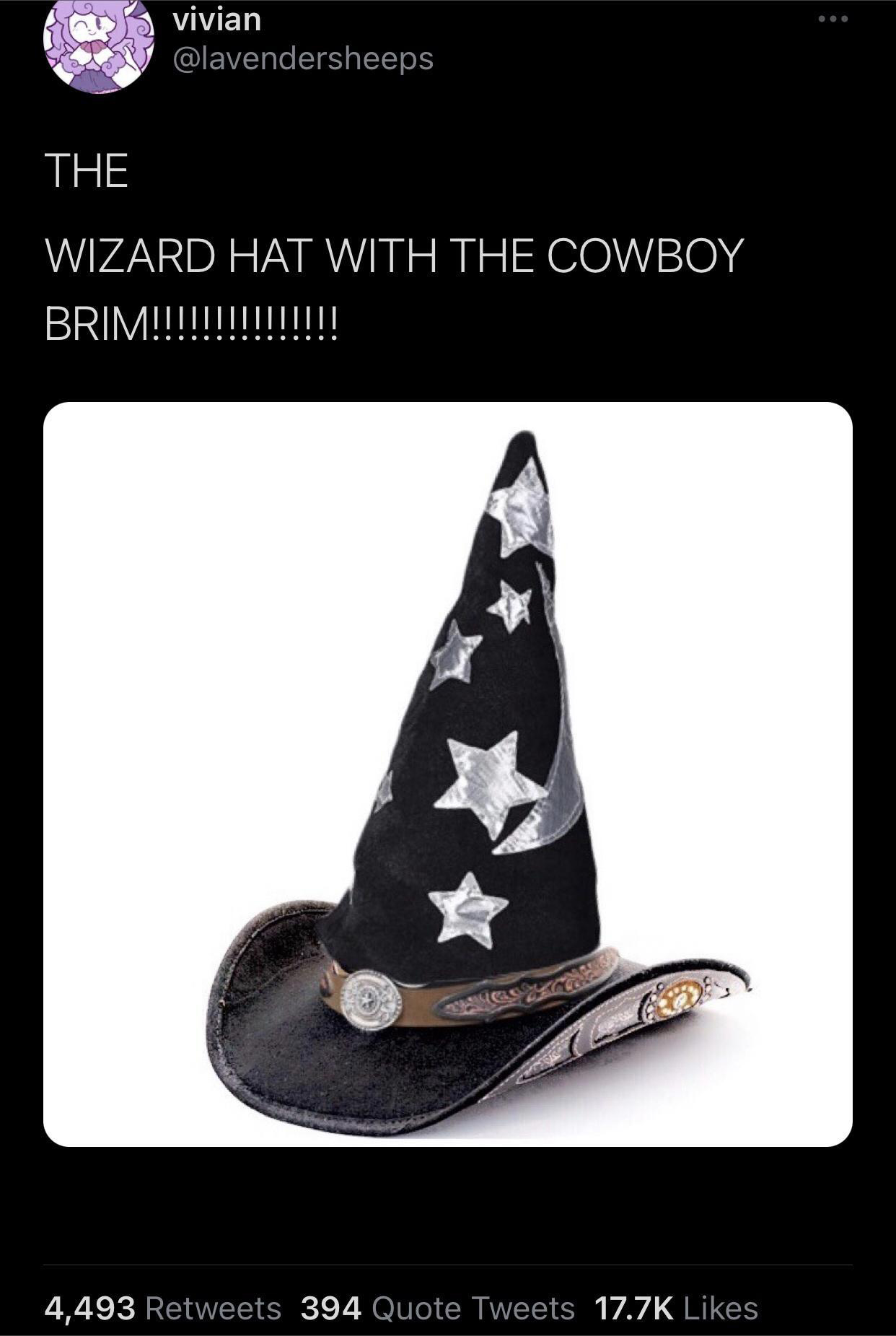 hilarious memes - dank memes - wizard hat with cowboy brim - vivian The Wizard Hat With The Cowboy Brim!!!.||||||||||!! 4,493 394 Quote Tweets