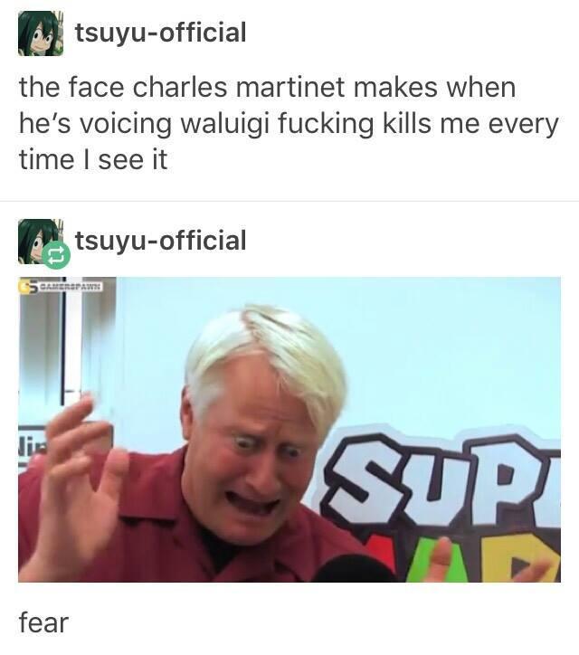 funny gaming memes - super mario 3d land - tsuyuofficial the face charles martinet makes when he's voicing waluigi fucking kills me every time I see it tsuyuofficial Cahierspawis Pesup fear