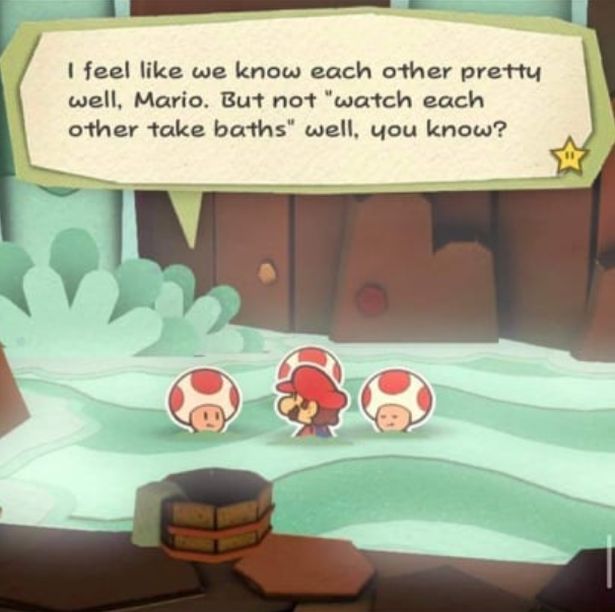 funny gaming memes - cartoon - I feel we know each other pretty well, Mario. But not "watch each other take baths" well, you know?