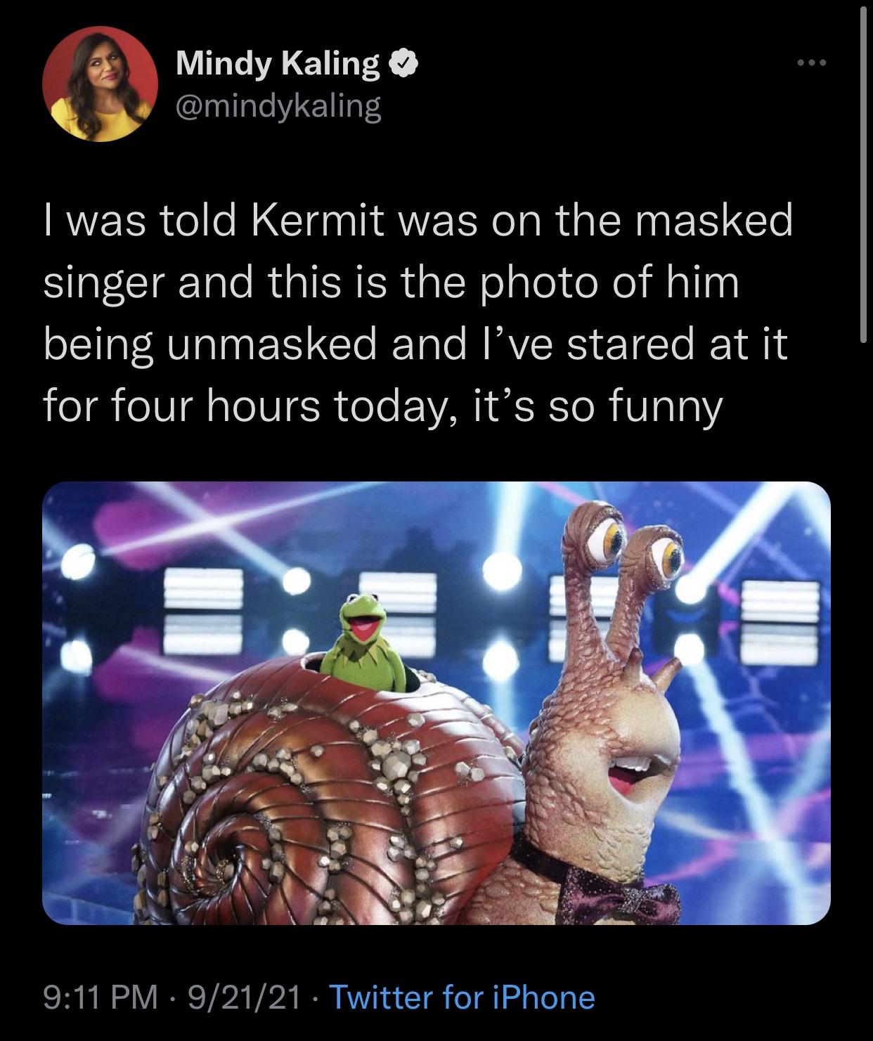 funny memes - hilarious memes - kermit masked singer - Mindy Kaling I was told Kermit was on the masked singer and this is the photo of him being unmasked and I've stared at it for four hours today, it's so funny 92121 Twitter for iPhone
