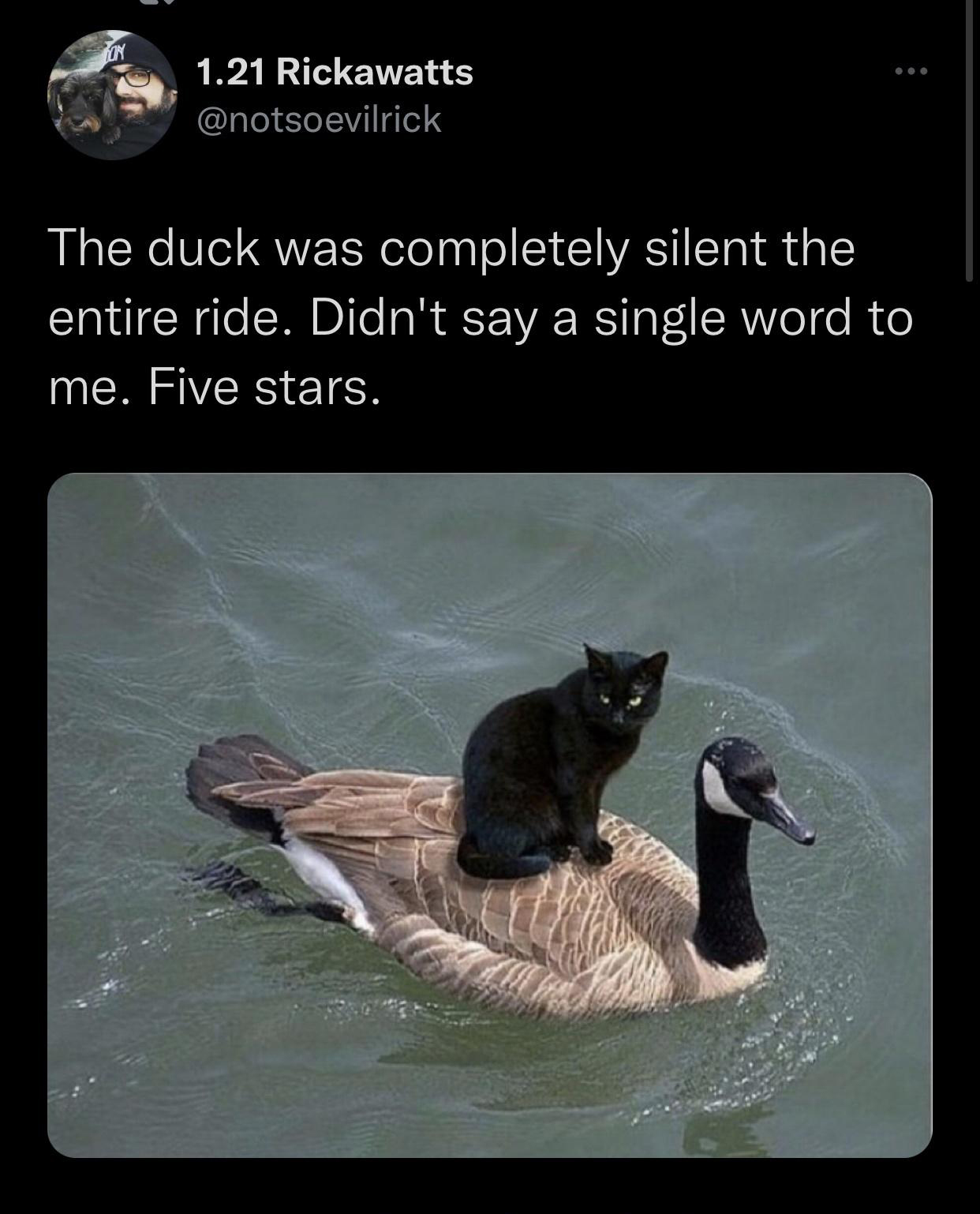 funny memes - hilarious memes - he attack he protect - In 1.21 Rickawatts The duck was completely silent the entire ride. Didn't say a single word to me. Five stars.