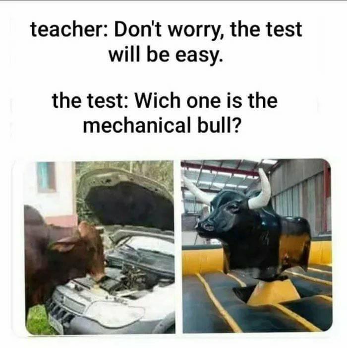 mechanical bull meme - teacher Don't worry, the test will be easy. the test Wich one is the mechanical bull?