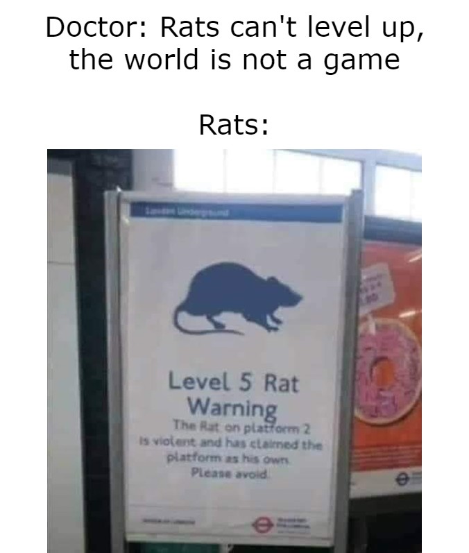 funny gaming memes - level 5 rat warning - Doctor Rats can't level up, the world is not a game Rats Level 5 Rat Warning The Rat on platform 2 is violent and has claimed the platform as his own Please avoid e