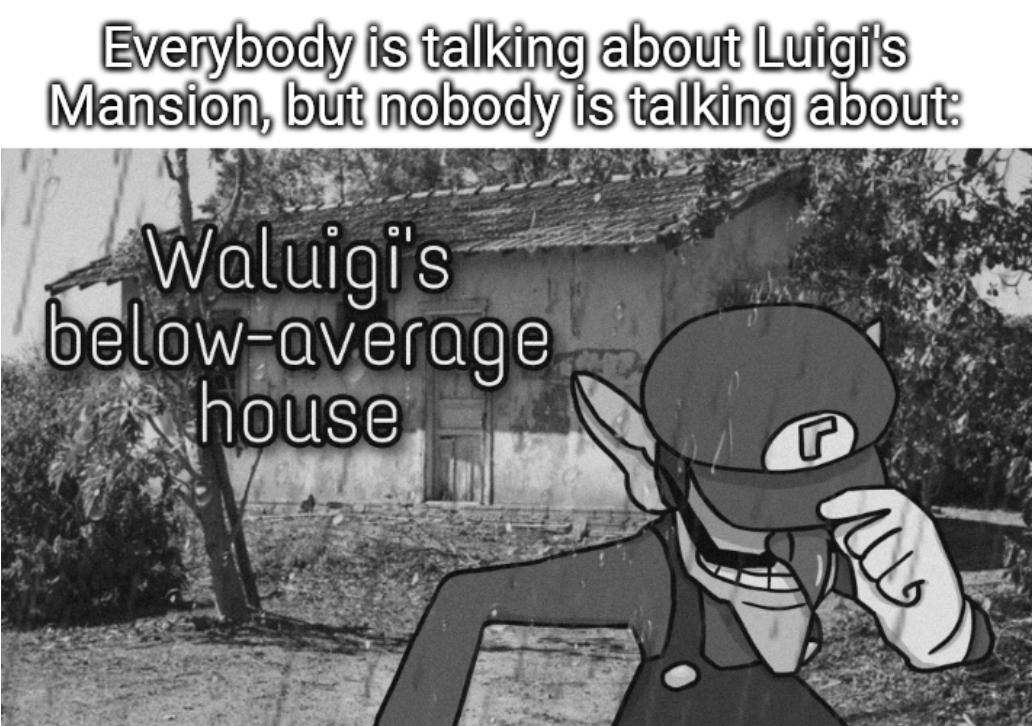 funny gaming memes - cartoon - Everybody is talking about Luigi's Mansion, but nobody is talking about Waluigi's belowaverage house