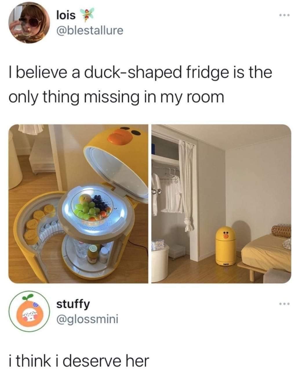 funny memes - hilarious memes - duck fridge meme - ... lois I believe a duckshaped fridge is the only thing missing in my room stuffy i think i deserve her