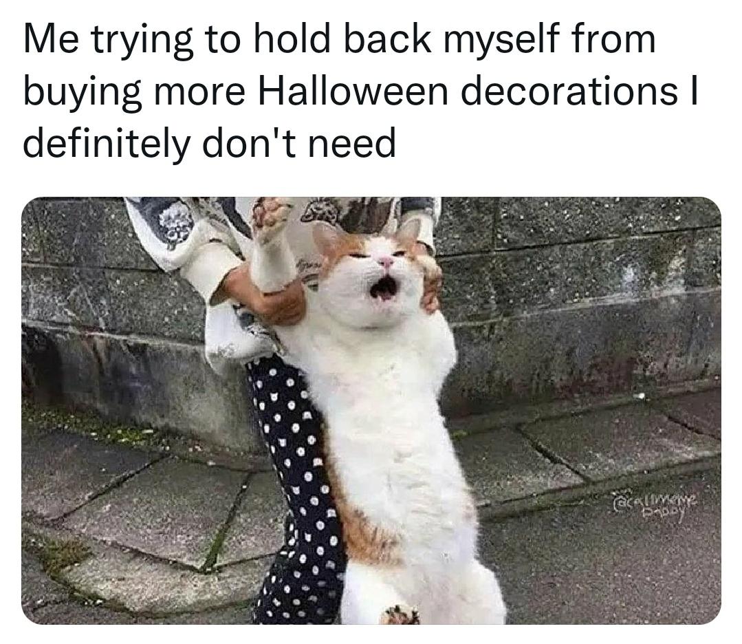 funny memes - hilarious memes - let me go cat meme - Me trying to hold back myself from buying more Halloween decorations | definitely don't need