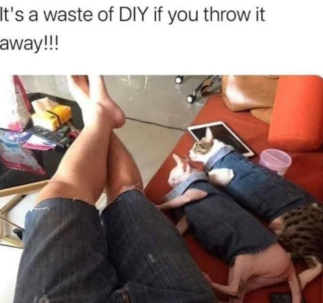 funny memes - hilarious memes - thigh - It's a waste of Diy if you throw it away!!!