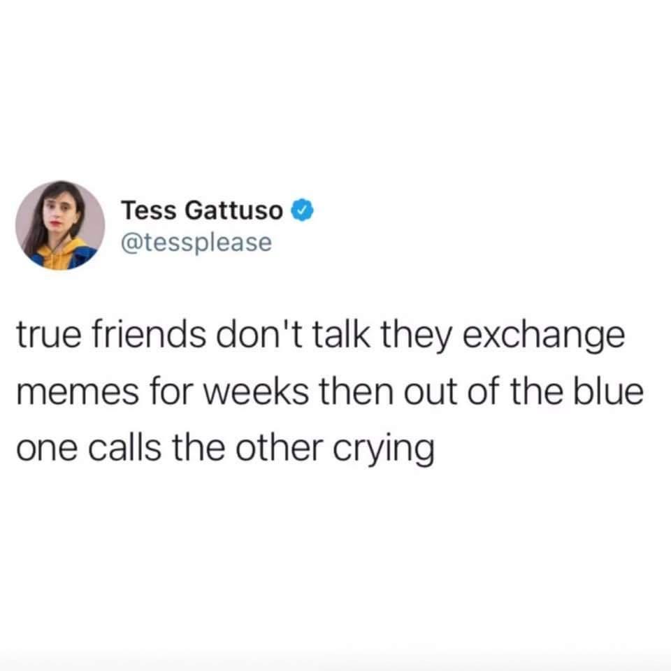 millennials intermittent fasting - Tess Gattuso true friends don't talk they exchange memes for weeks then out of the blue one calls the other crying
