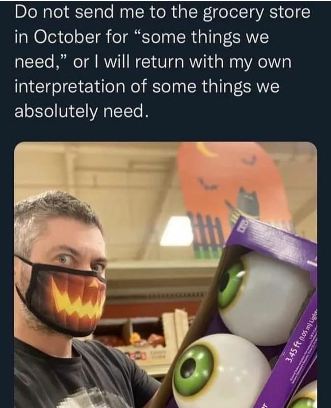 funny memes - halloween memes - photo caption - Do not send me to the grocery store in October for "some things we need," or I will return with my own interpretation of some things we absolutely need. 3.45 ft .osmi Ligh