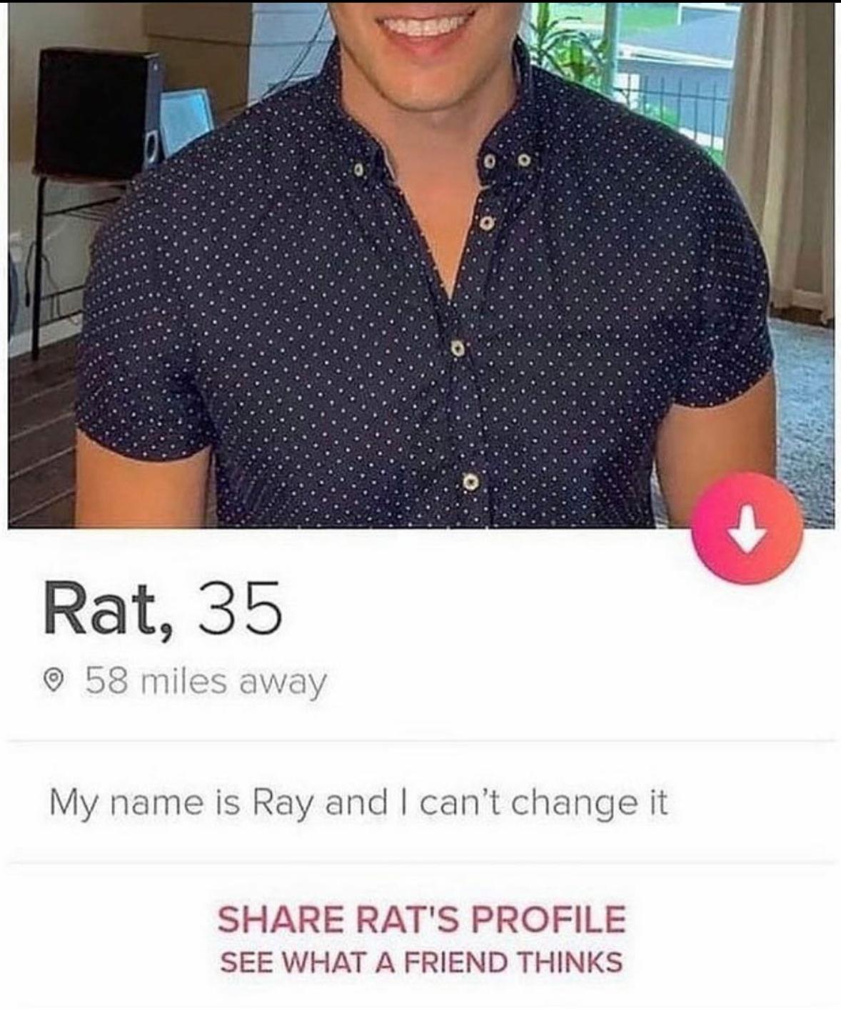 funny memes - halloween memes - rat my name is ray - Rat, 35 58 miles away My name is Ray and I can't change it Rat'S Profile See What A Friend Thinks
