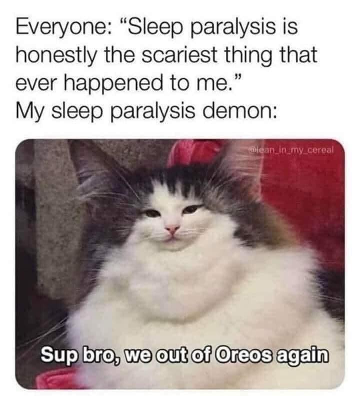 funny memes - halloween memes - sup bro we out of oreos again - Everyone "Sleep paralysis is honestly the scariest thing that ever happened to me." My sleep paralysis demon clean_in_my_cereal Sup bro, we out of Oreos again