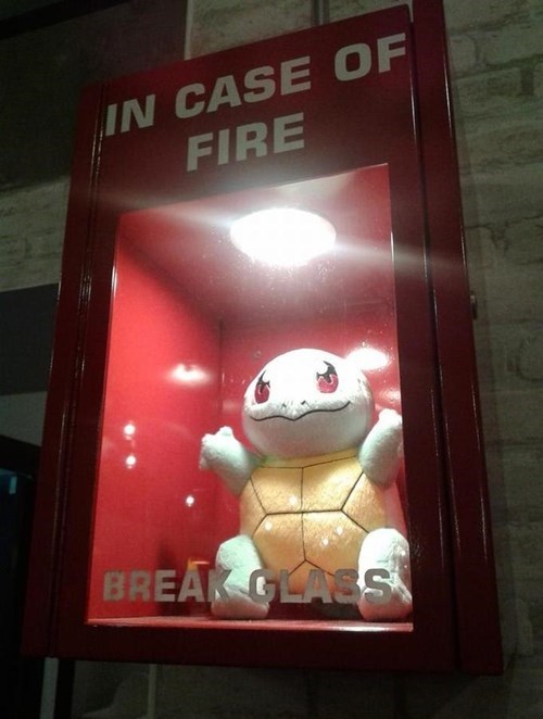 pokemon type advantages meme - In Case Of Fire Break Class