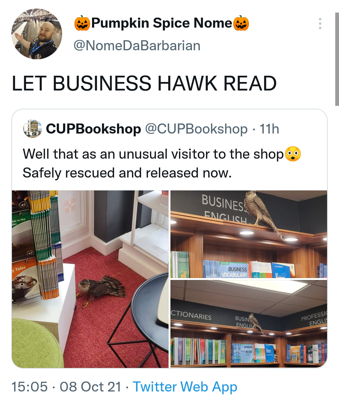 table - Pumpkin Spice Nome Let Business Hawk Read CUPBookshop 11h Well that as an unusual visitor to the shop Safely rescued and released now. Business English ble in the y Tales Business Ary Ctionaries Busin Englisa Professio Engli Reness 08 Oct 21 Twitt