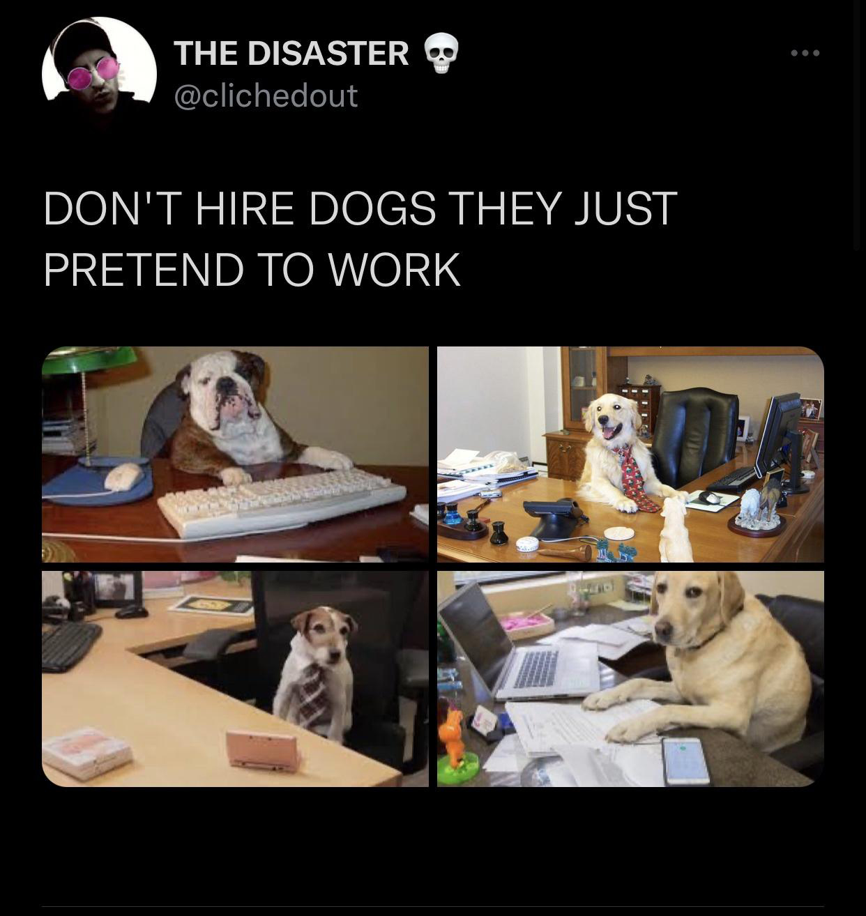 knows you re a dog - The Disaster Don'T Hire Dogs They Just Pretend To Work
