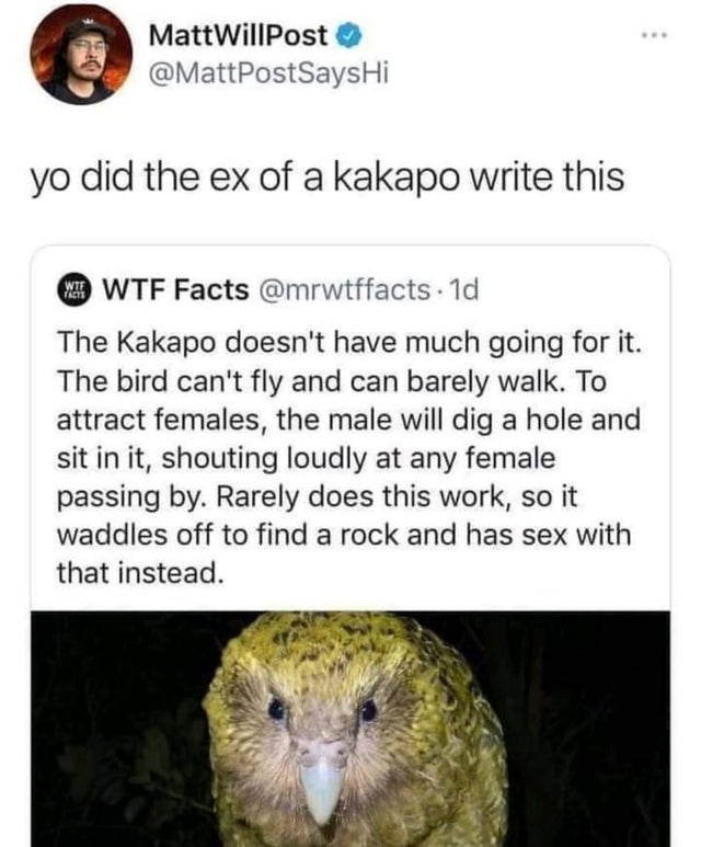 Kākāpō - MattWillPost yo did the ex of a kakapo write this Wtf He Wtf Facts . 1d The Kakapo doesn't have much going for it. The bird can't fly and can barely walk. To attract females, the male will dig a hole and sit in it, shouting loudly at any female p