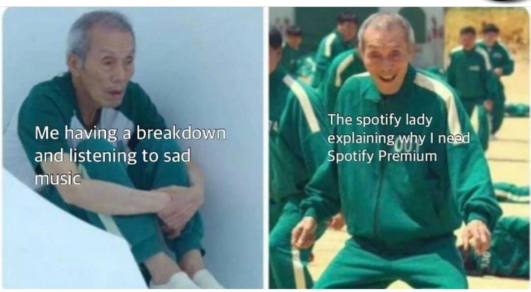 funny memes - cute cats - shoulder - Me having a breakdown and listening to sad music The spotify lady explaining why I need Spotify Premium