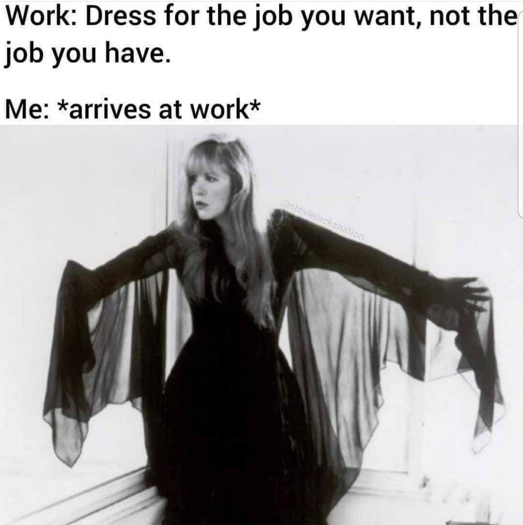funny memes - cute cats - rhiannon dress stevie nicks - Work Dress for the job you want, not the job you have. Me arrives at work on